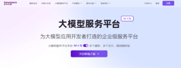 无问芯穹