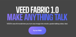 Fabric 1.0