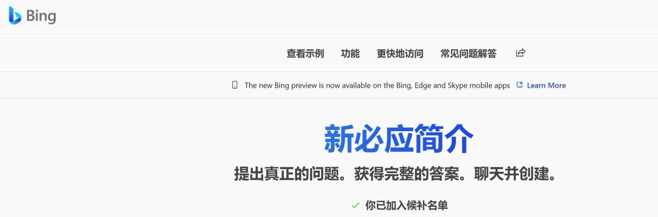 New Bing 预览