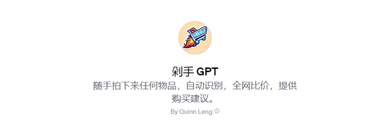 剁手GPT 预览