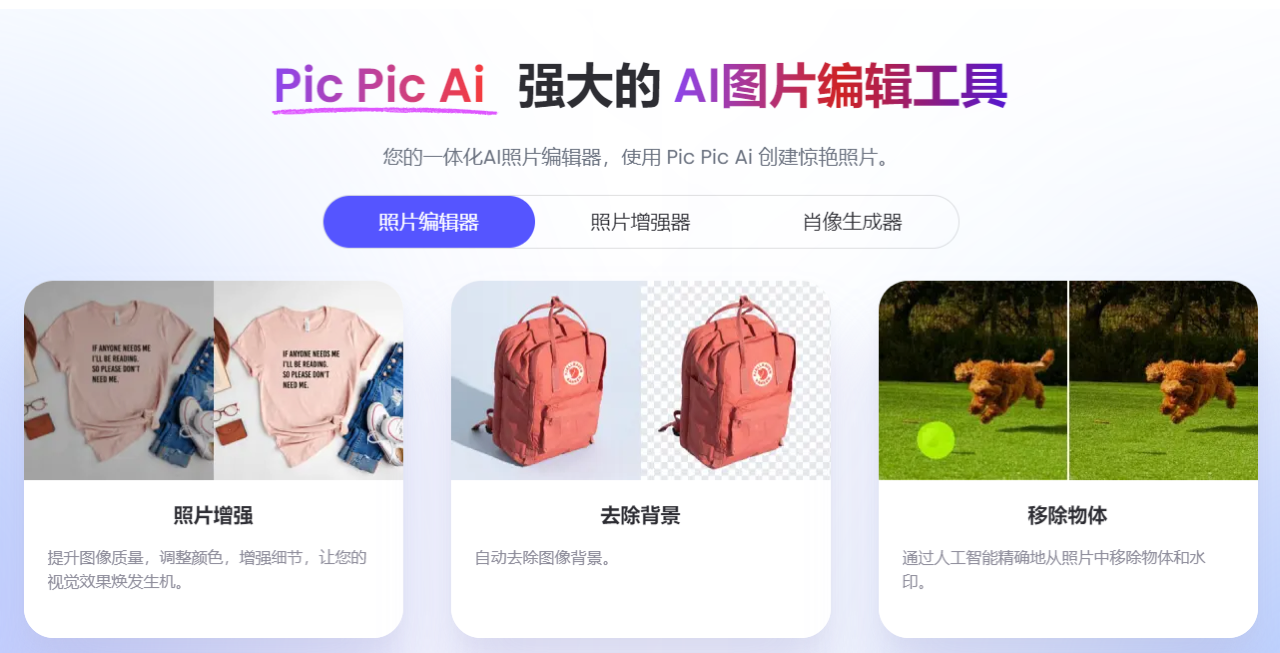 PicPicAI 预览